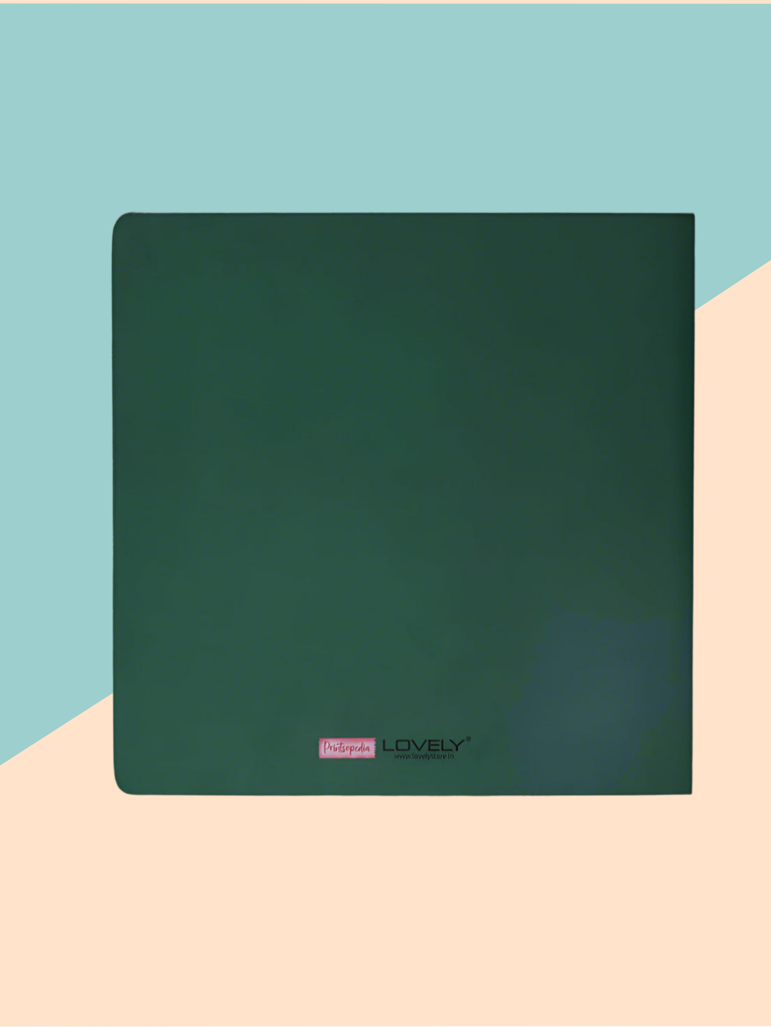 Baby's First Colors board book