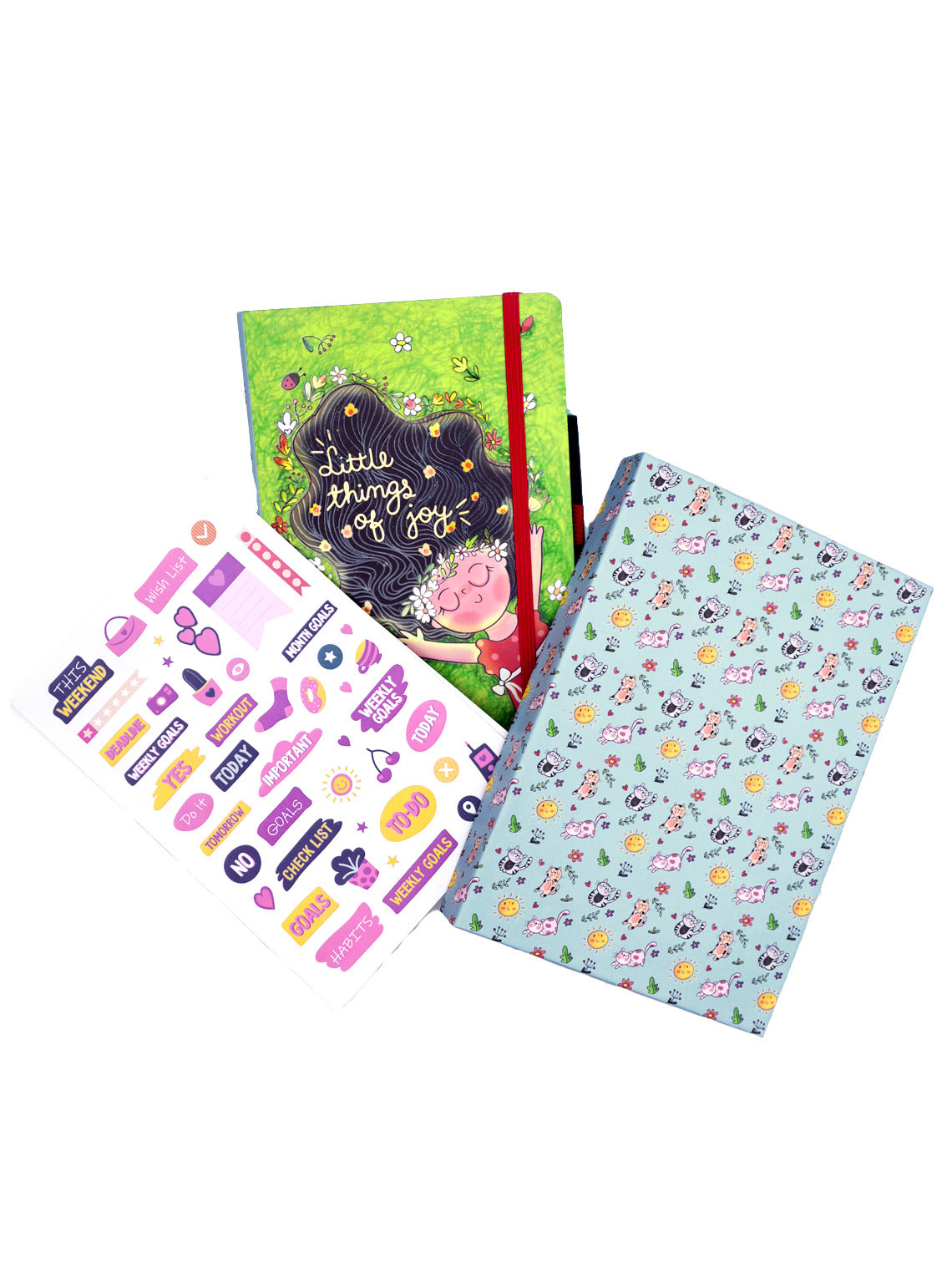 Little Things of joy Hard Cover