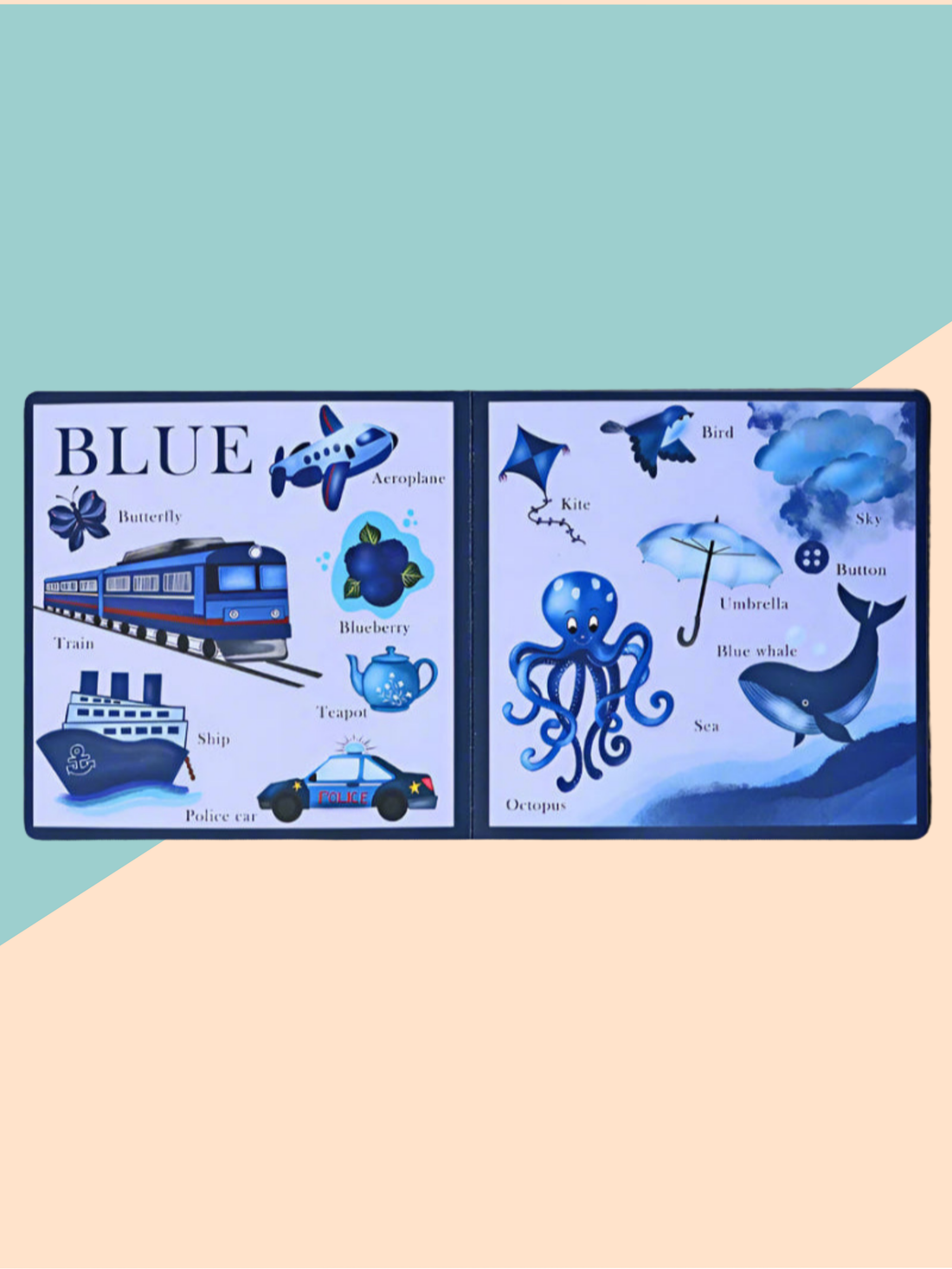 Baby's First Colors board book