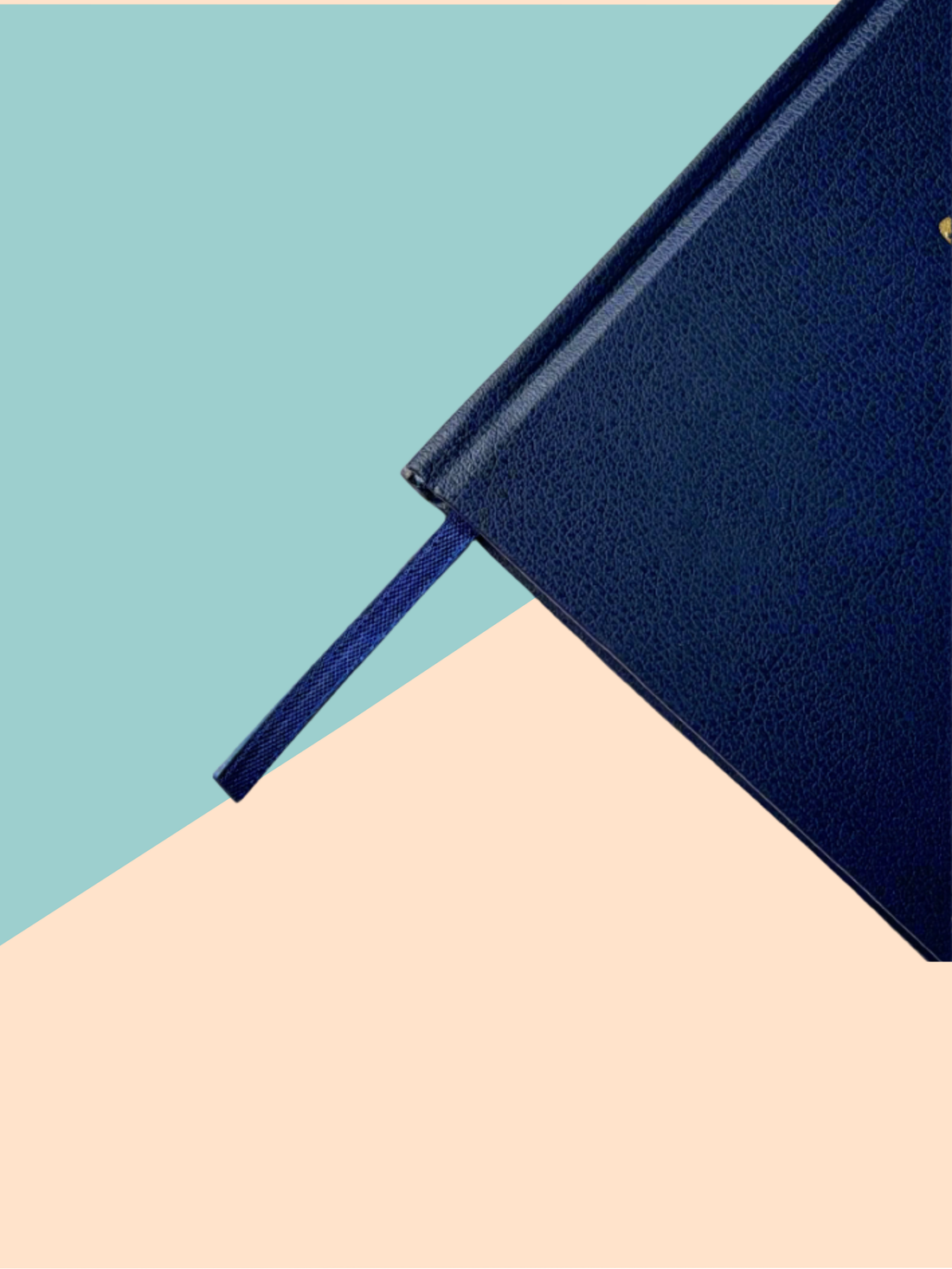 Gratitude Journal