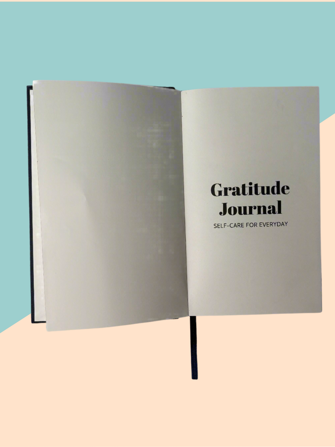 Gratitude Journal