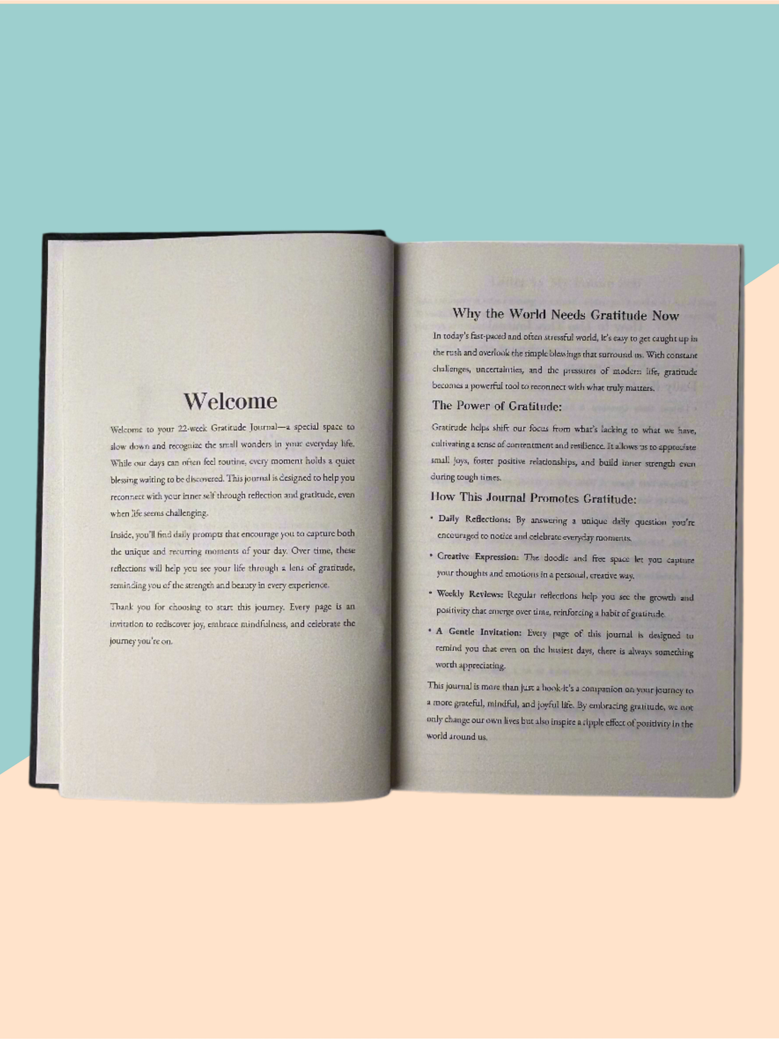 Gratitude Journal