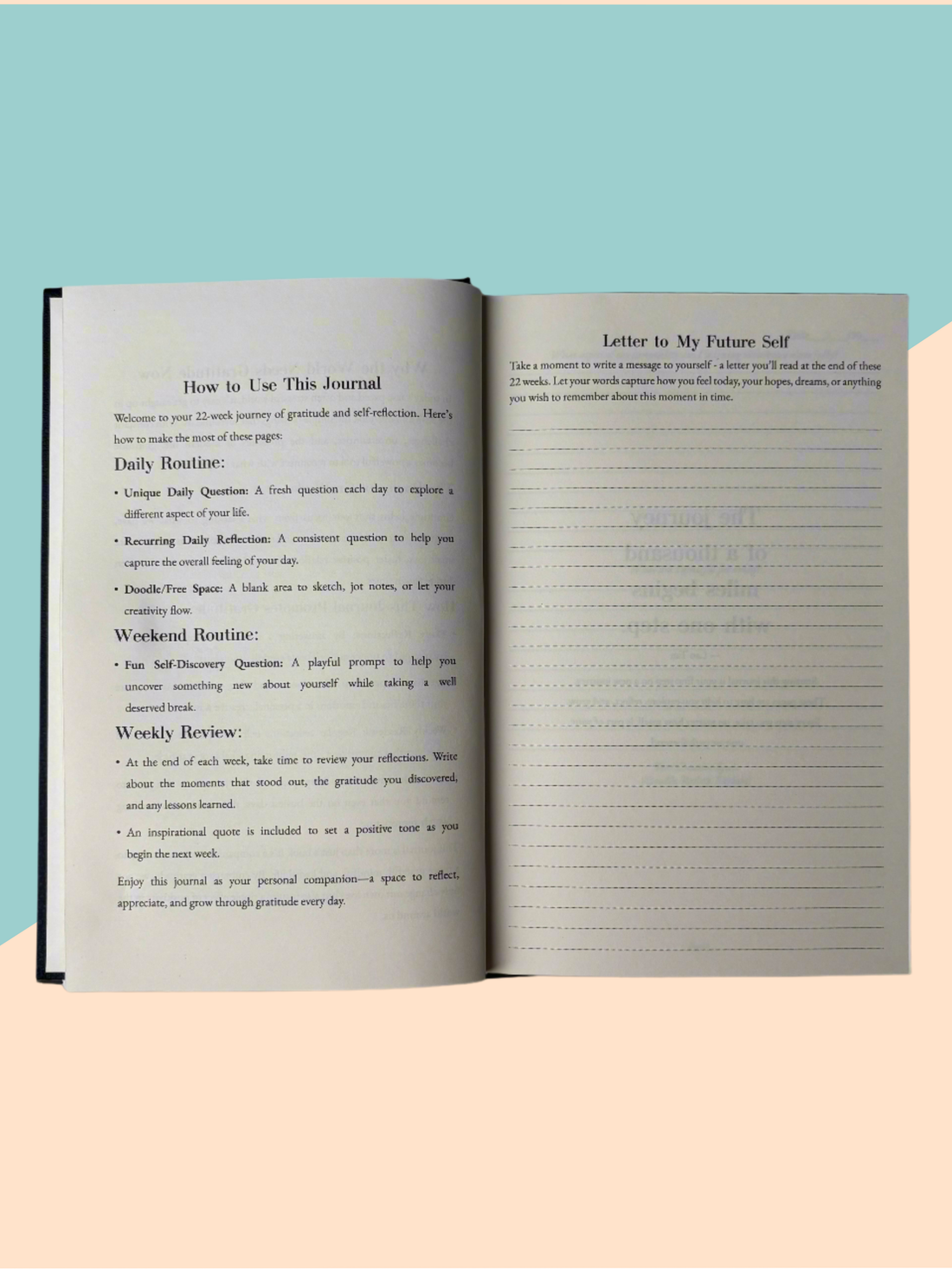Gratitude Journal