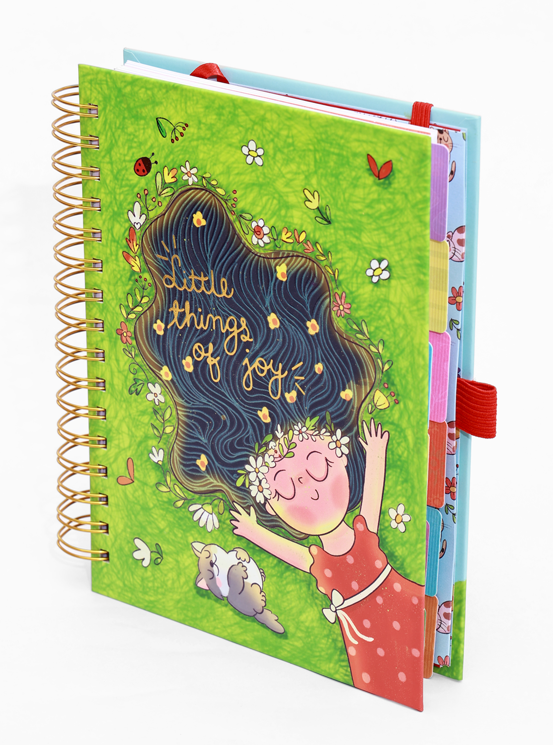 Little Things of joy Hard Cover