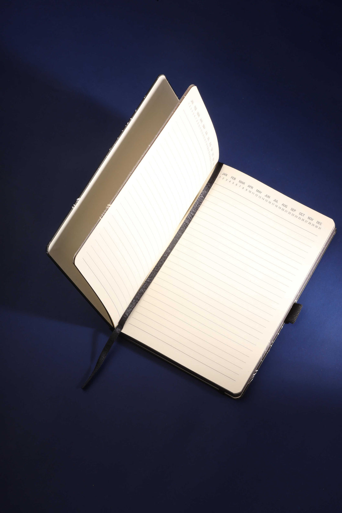 Vivid Moon Journal