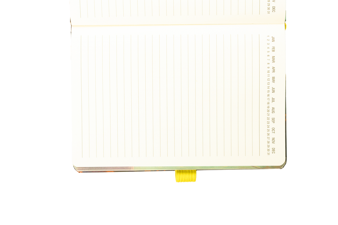 Vivid Boy with Blue Sky Journal