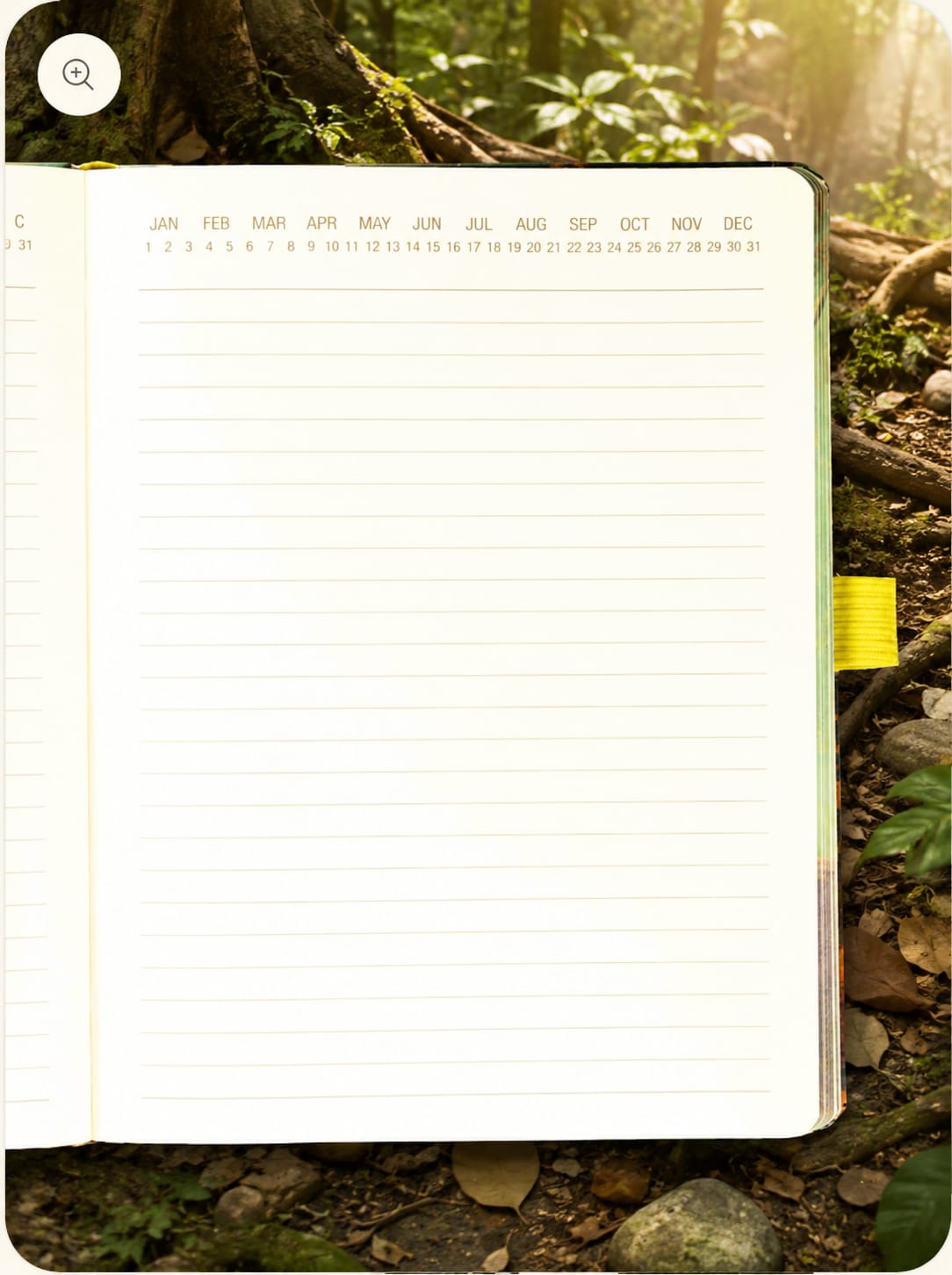 Vivid Hanuman Journal