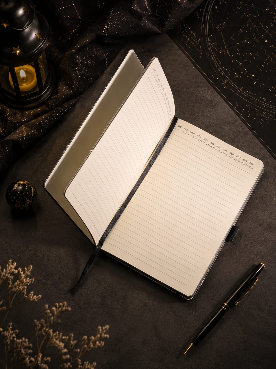 Vivid Moon Journal