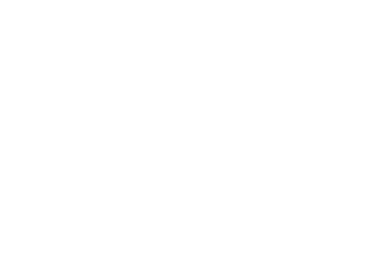 Lovely Store