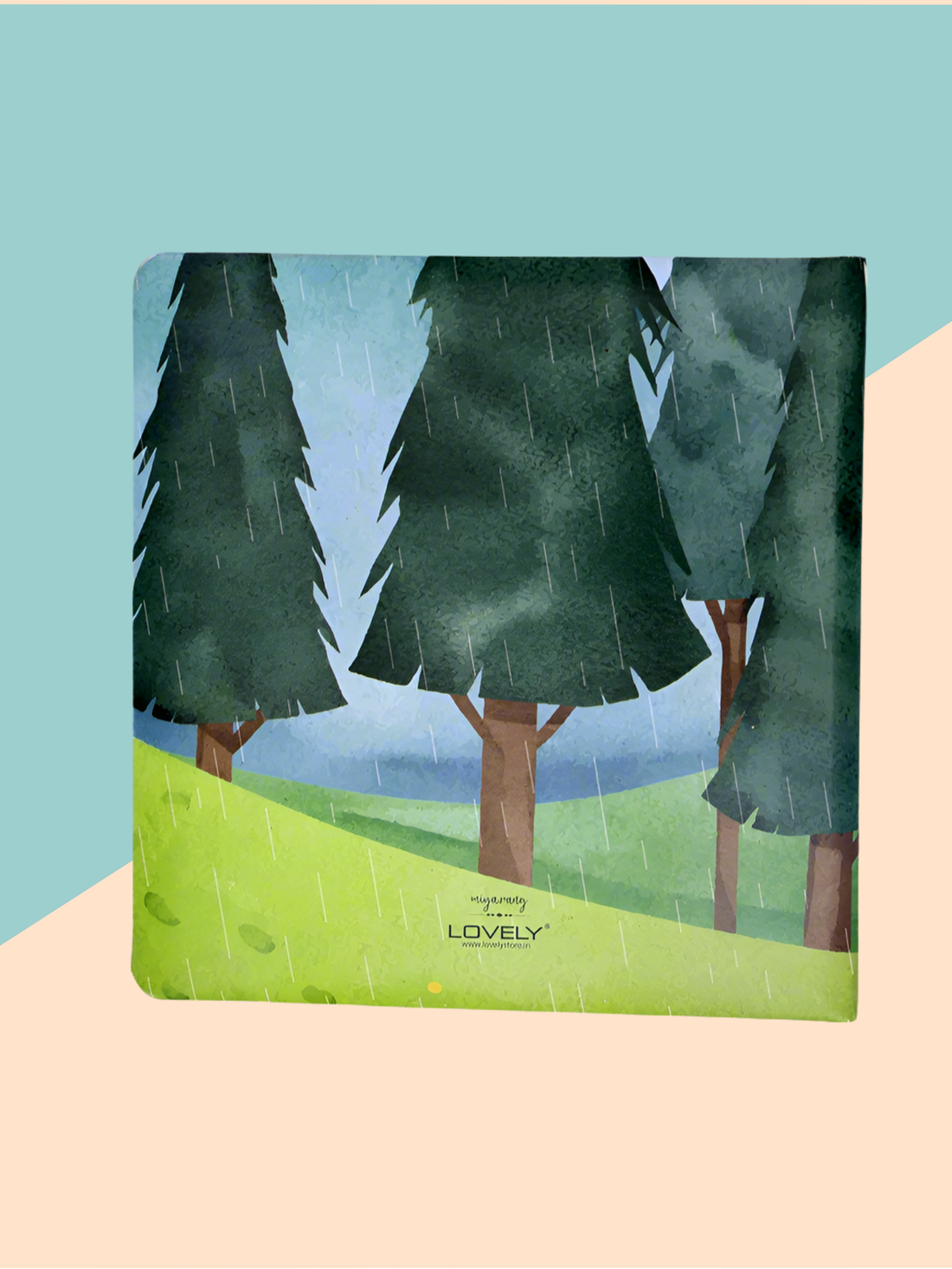 Alpha die-cut board book